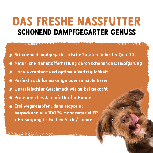 bosch Freshe Schnauze - Aktionspaket Nassfutter 5x250g