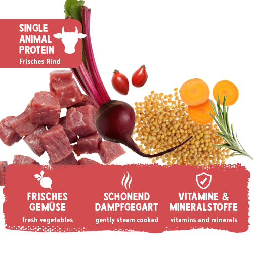 bosch Freshe Schnauze Nassfutter - Rind mit Hirse & Rote Bete 250 g