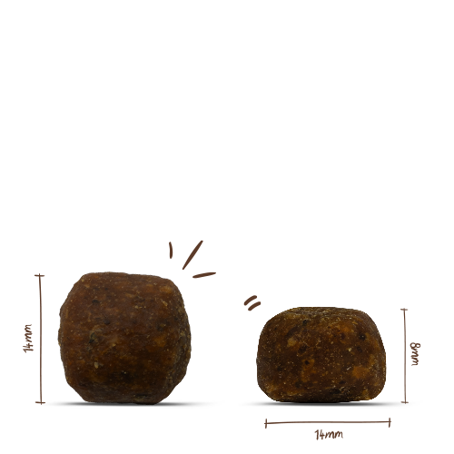 bosch Heimat Junior Tierwohl-Huhn