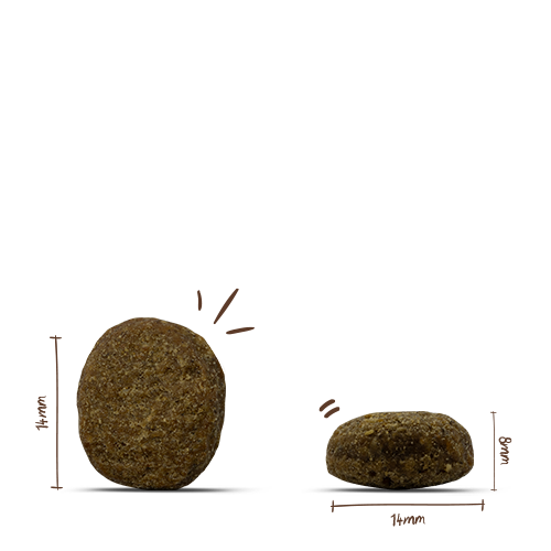 bosch Heimat Adult Freiland-Gans