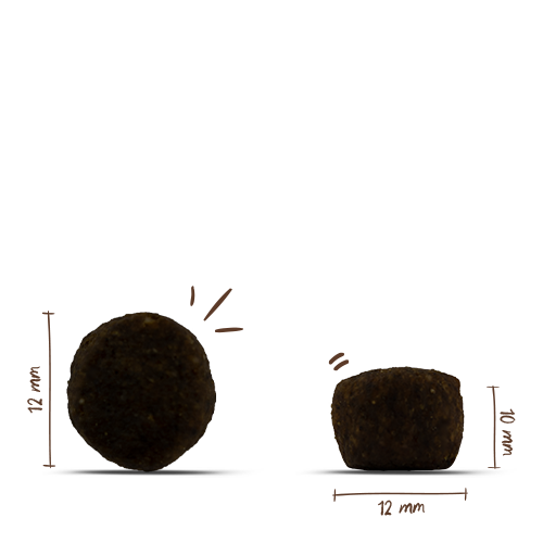 bosch LPC Junior Young & Active