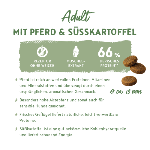 bosch Adult mit Pferd & Süßkartoffel