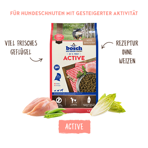 bosch HPC Active