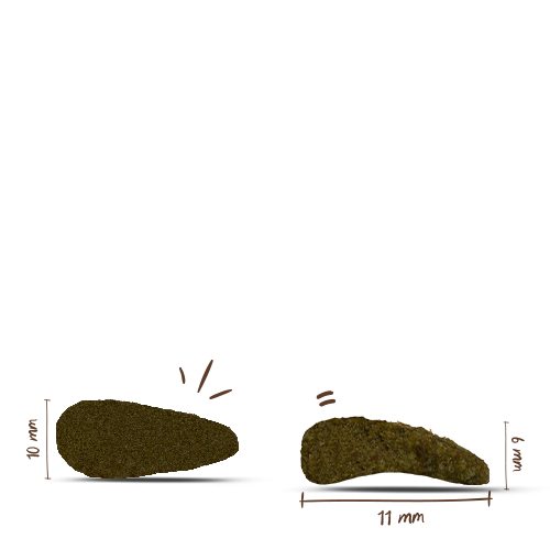 bosch HPC Adult Menue