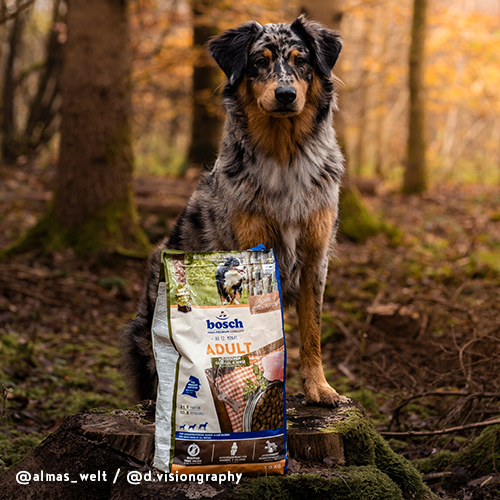 bosch HPC Adult mit frischem Geflügel & Hirse