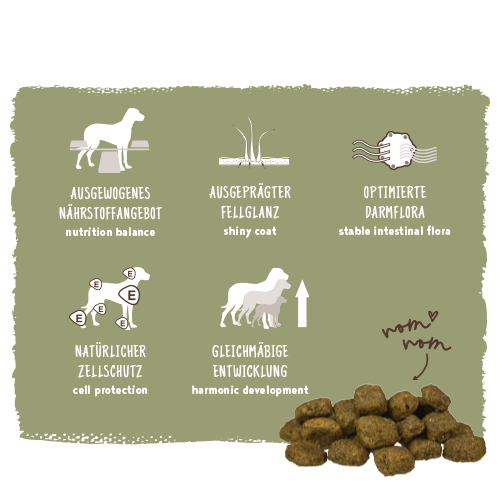 bosch HPC Adult mit frischem Geflügel & Hirse