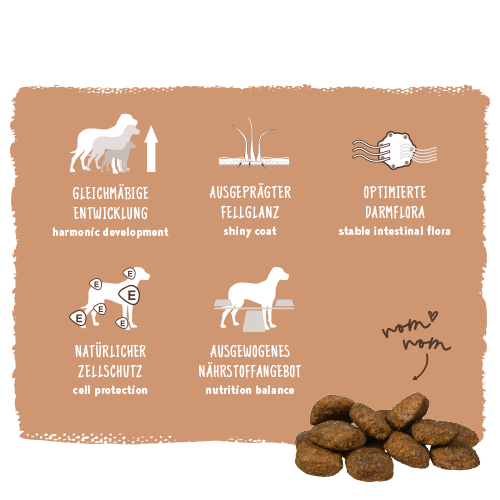 bosch HPC Maxi Adult