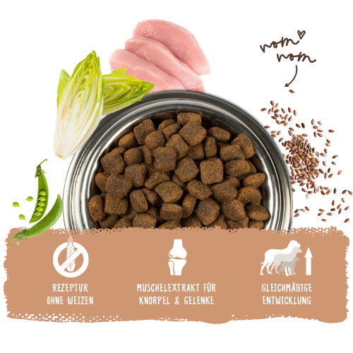 bosch HPC Maxi Adult