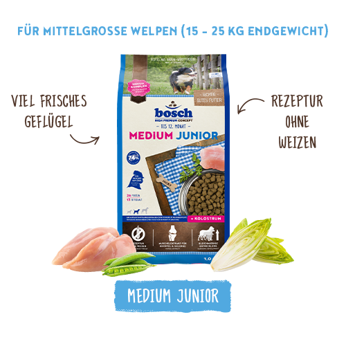 bosch HPC Medium Junior