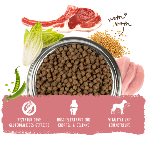 bosch HPC Mini Adult mit Lamm & Reis