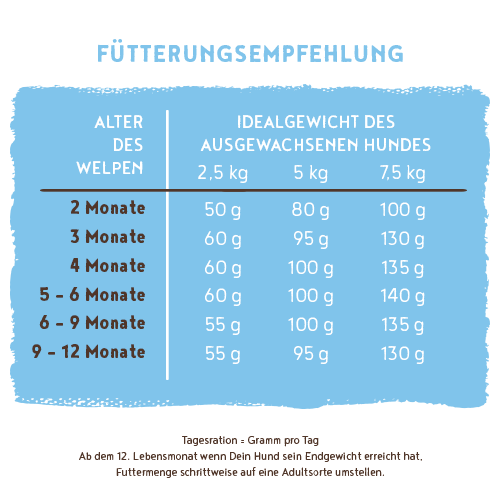 bosch HPC Mini Junior