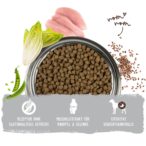 bosch HPC Mini Light