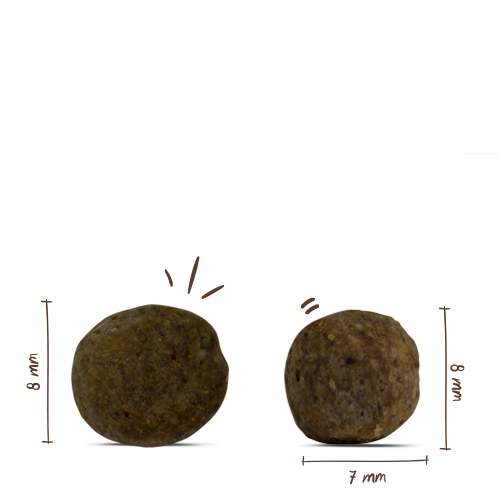 bosch HPC Mini Light