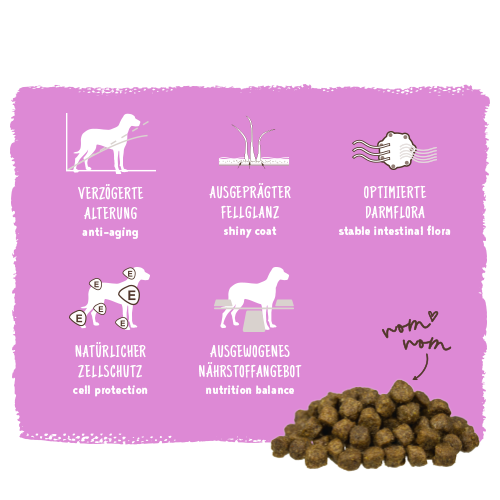 bosch HPC Mini Senior