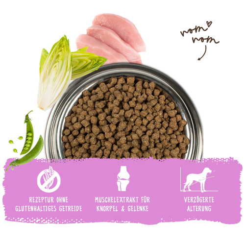 bosch HPC Mini Senior