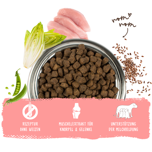 bosch HPC Reproduction