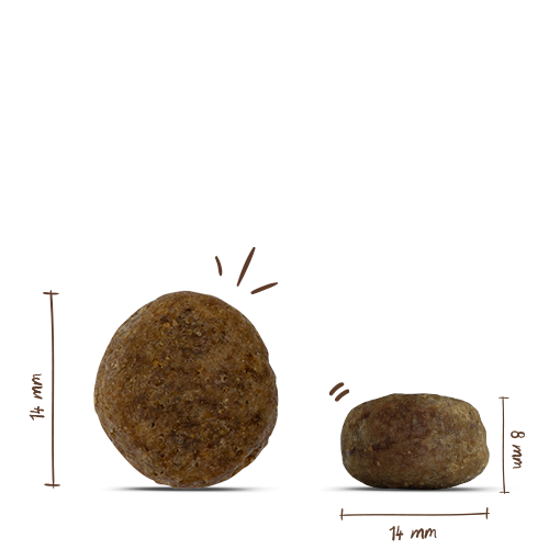 bosch Sensitive Ente & Kartoffel