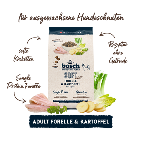 bosch SOFT Adult Forelle & Kartoffel
