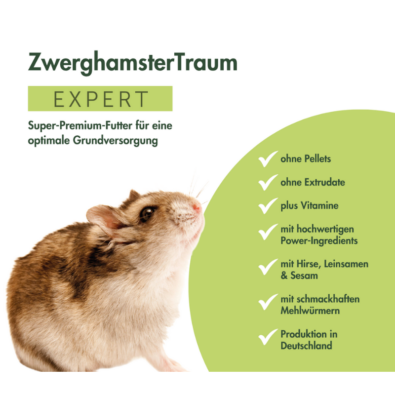 Bunny ZwerghamsterTraum Expert