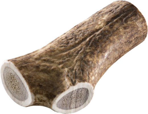 [Räumungsverkauf] Chewies Geweih Snack Ganzes Stück XL 160 g