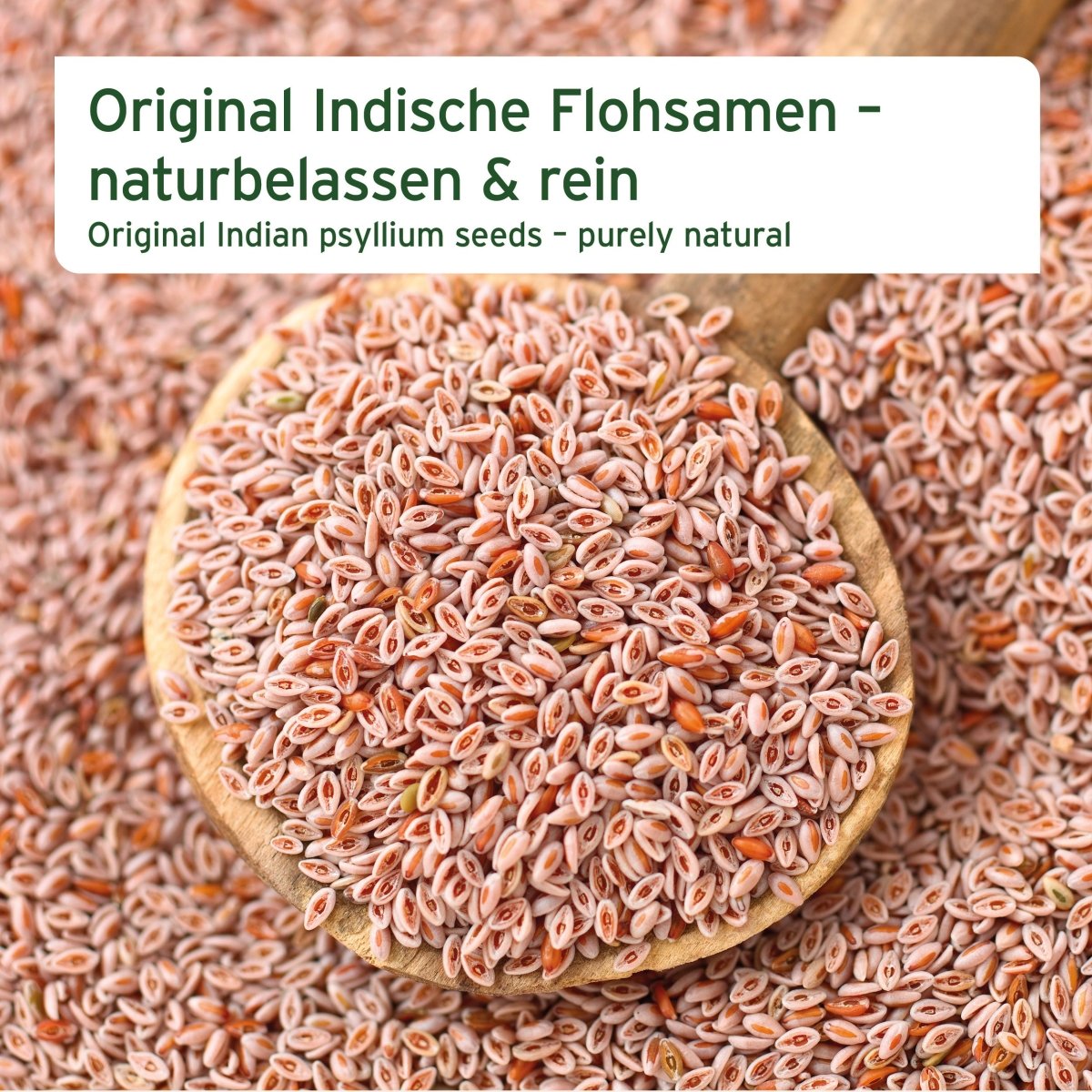 AniForte Indische Flohsamen 3 kg