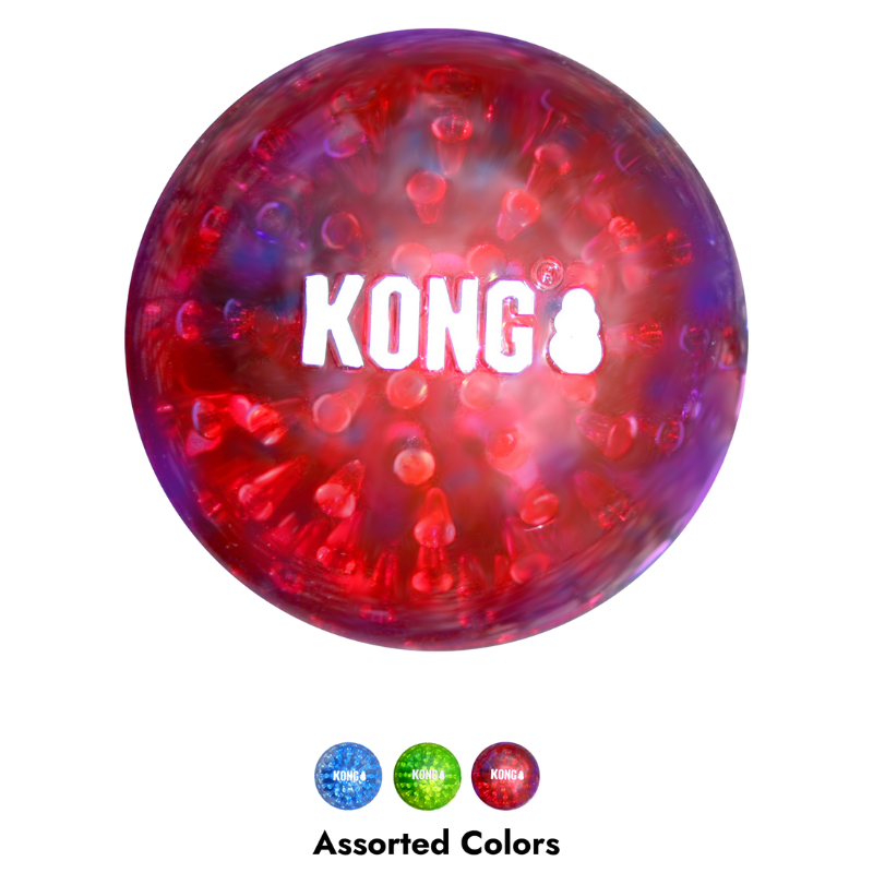 KONG Squeezz Geodz