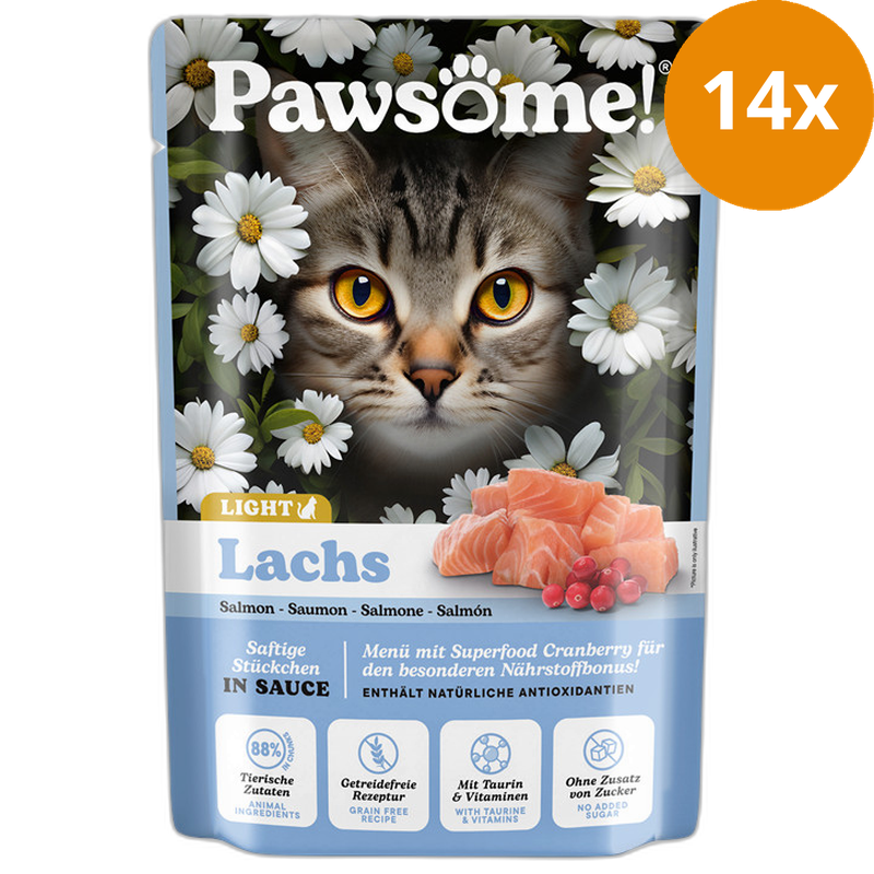 Pawsome! Adult Light Lachs 85 g