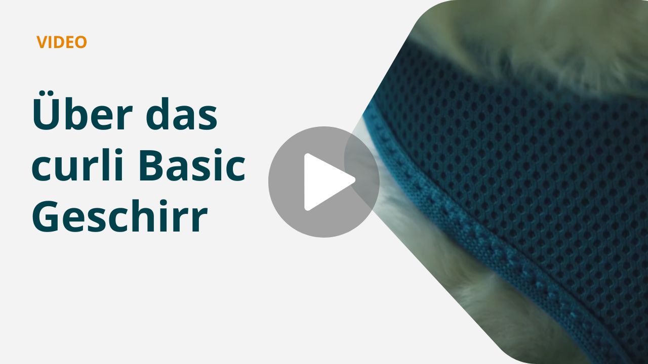 Produktvorstellung zum curli basic Geschirr