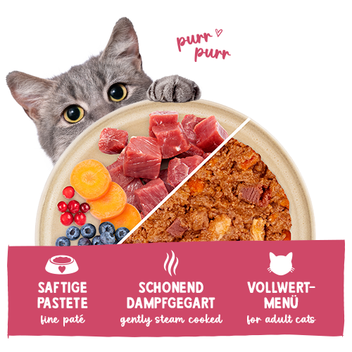 Sanabelle Freshe Mieze Rind & Huhn 100 g