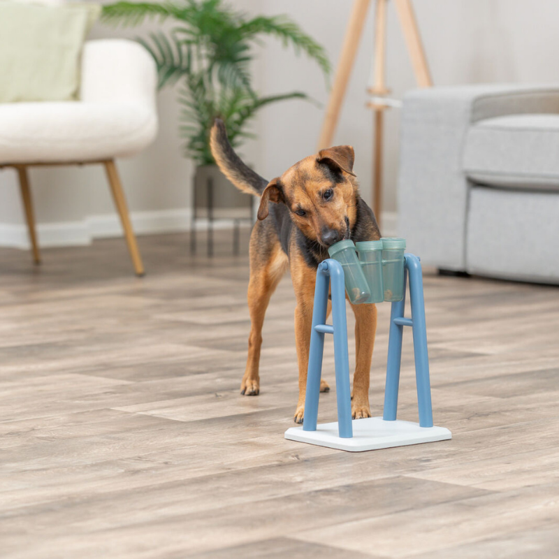 TRIXIE Dog Activity Turn Around