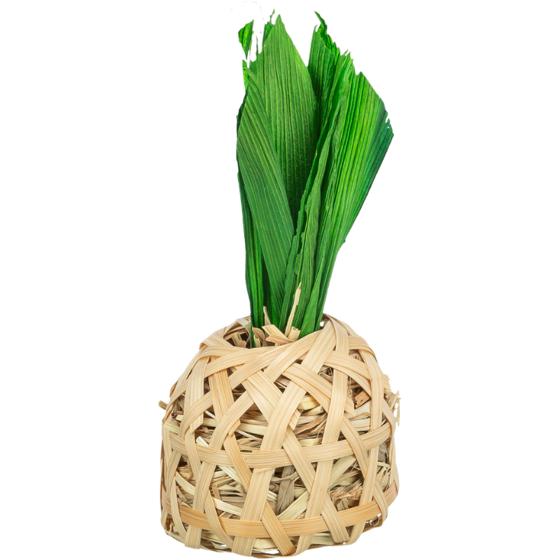 TRIXIE Ananas, Bambus mit Maisblättern und Heu