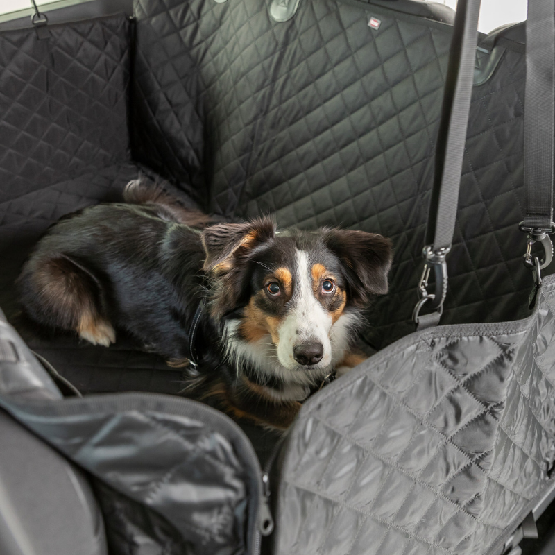 TRIXIE Auto-Schondecke