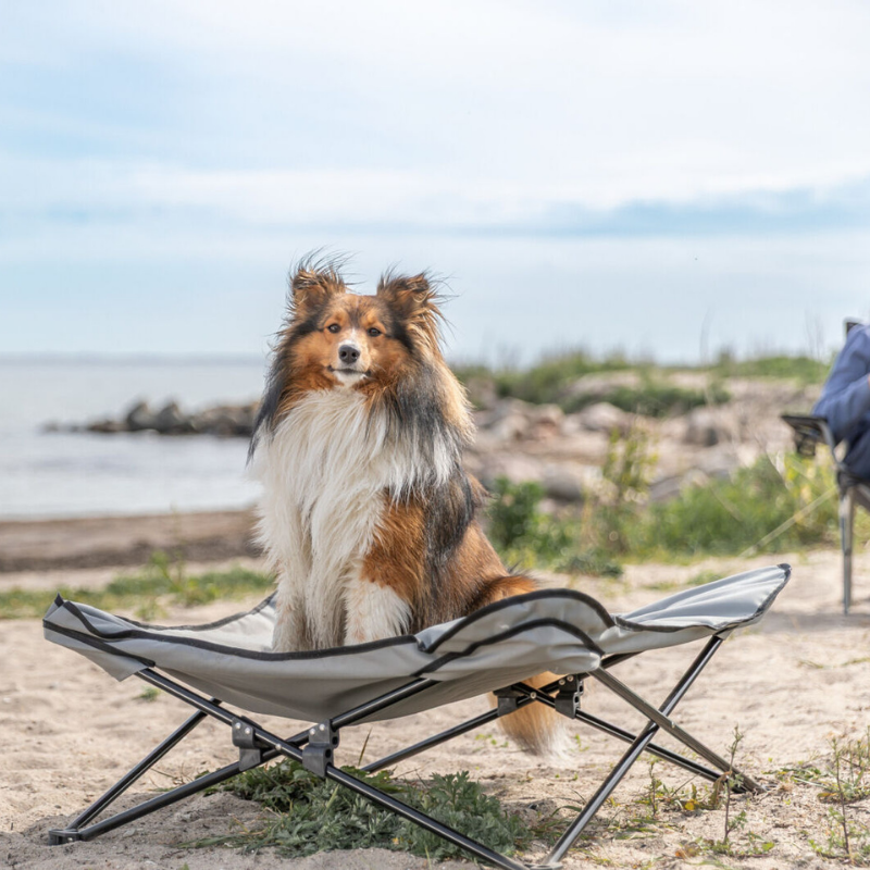 TRIXIE Camping-Bett mit abnehmbarem Bezug