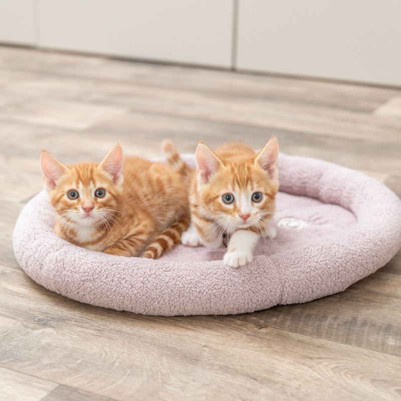 TRIXIE Junior Bett Katze