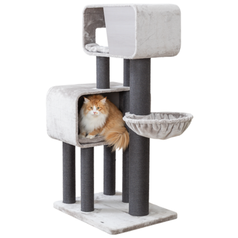 TRIXIE Kratzbaum XXL Rafael