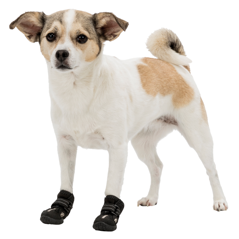 Trixie Pfotenschutz Walker Active