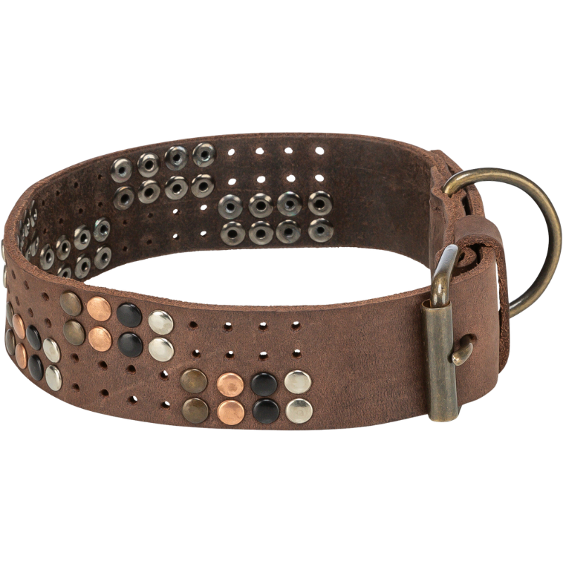 TRIXIE Rustic Fettleder-Halsband Nieten, extra breit