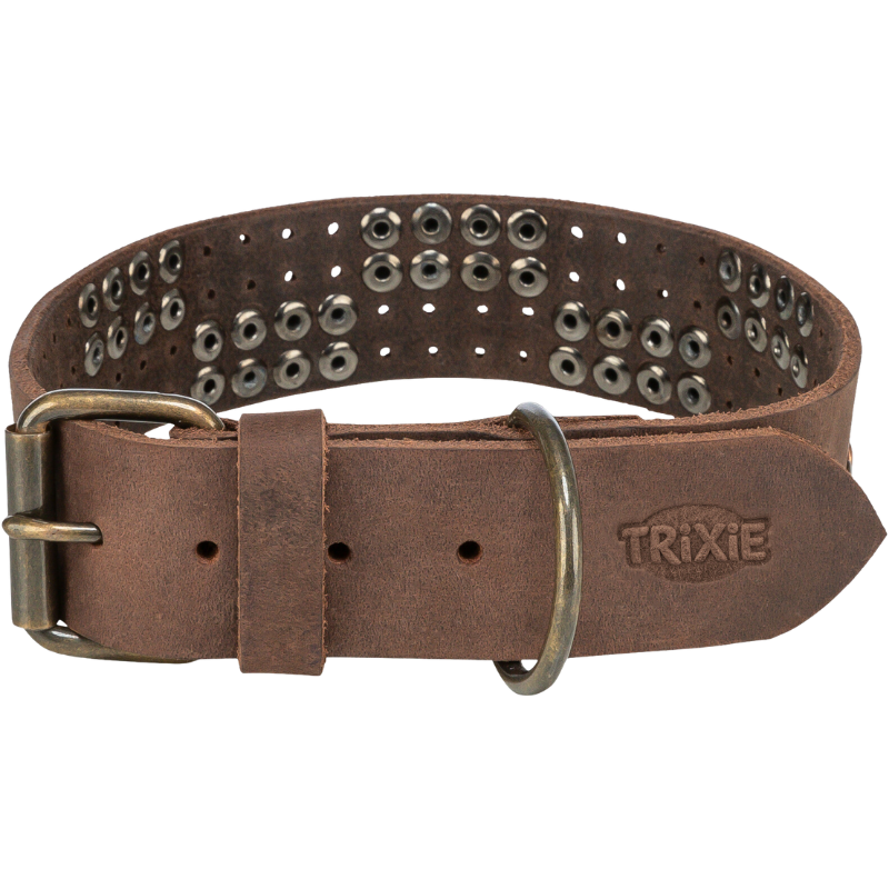 TRIXIE Rustic Fettleder-Halsband Nieten, extra breit