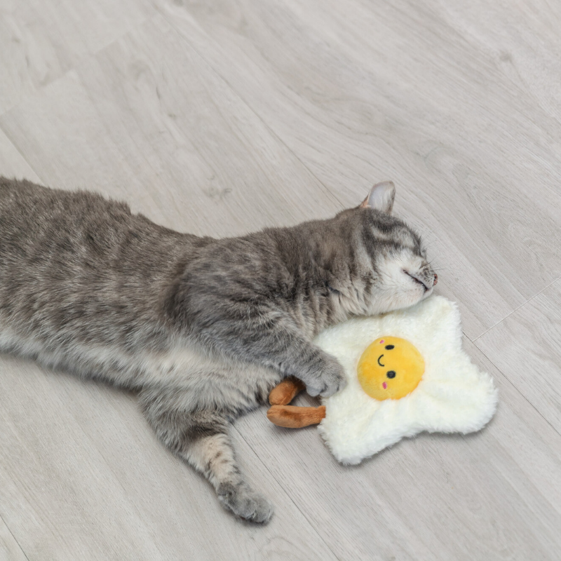 TRIXIE Spiegelei XXL, Plüsch, USA Katzenminze