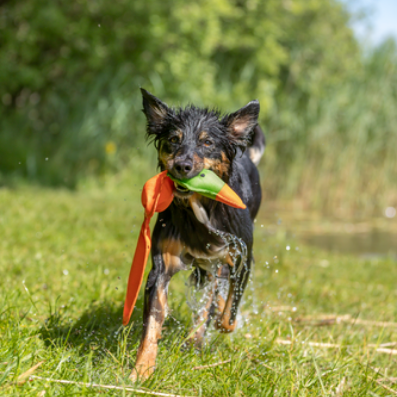 TRIXIE Aqua Toy Ente, schwimmt, Polyester