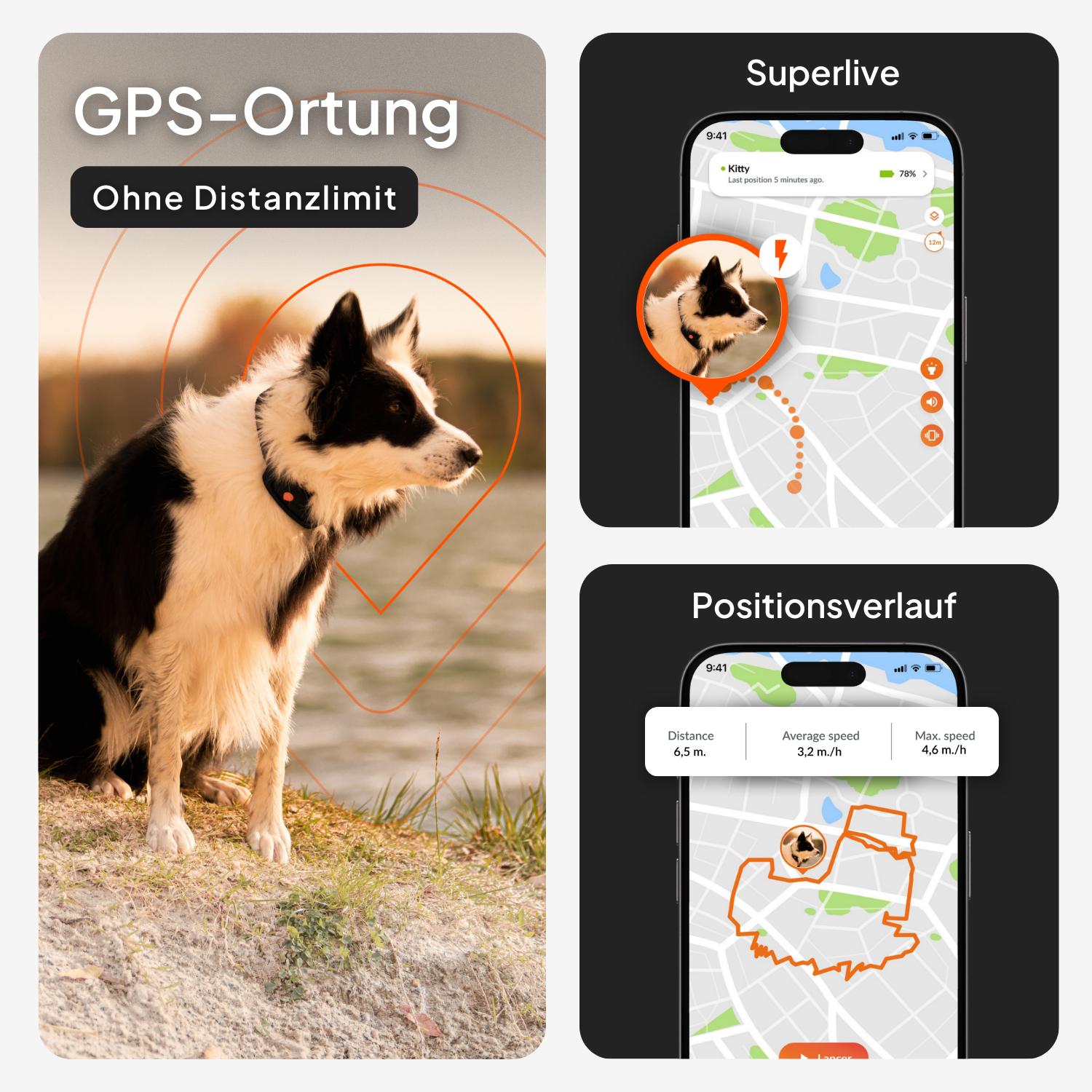 Weenect GPS Tracker XT Dog