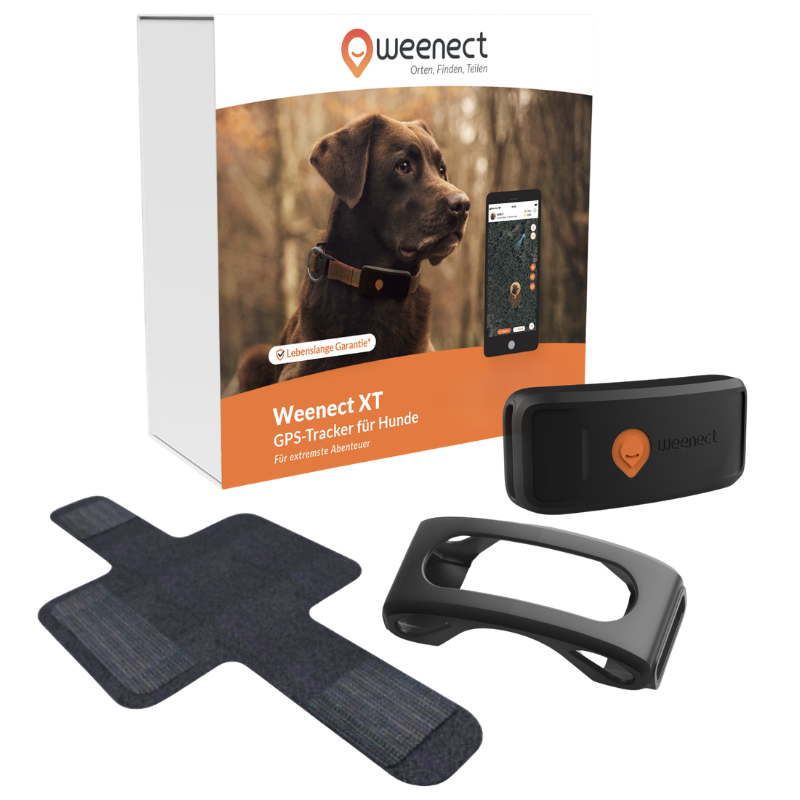 Weenect GPS Tracker XT Dog