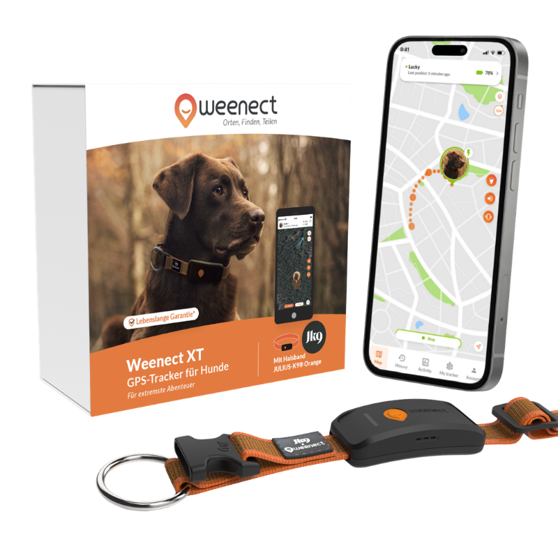 Weenect GPS Tracker XT Dog