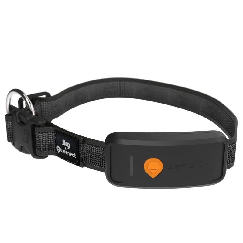 Weenect GPS Tracker XT Dog