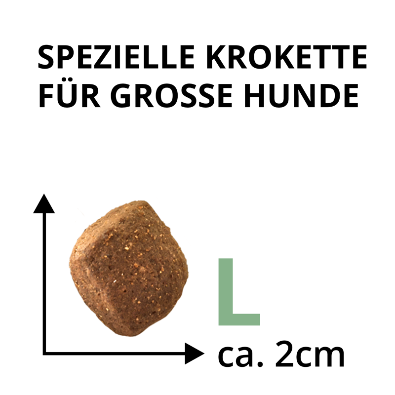 Wildsterne Breed Selection Adult L