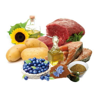 Wildsterne Breed Selection Adult Mops