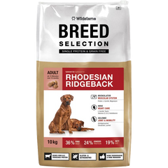 Wildsterne Breed Selection Adult Rhodesian Ridgeback