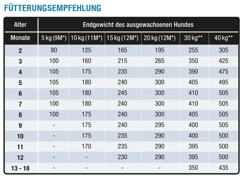 Wildsterne Ente & Kartoffel Junior